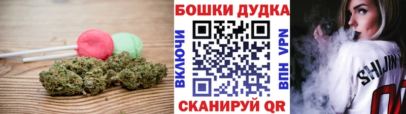 Купить где  Борзя  Canna-Cookies конопля 