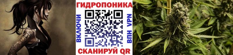 Купить где  Борзя  Шишки марихуана OG Kush 